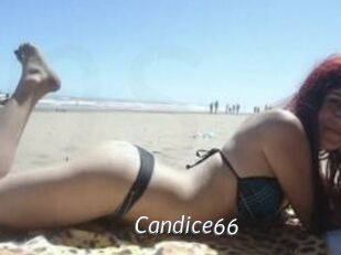 Candice66