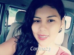 Carlina23