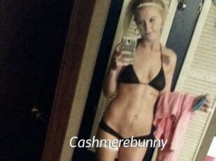 Cashmerebunny