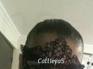 Cattleya_S