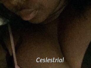 Ceslestrial