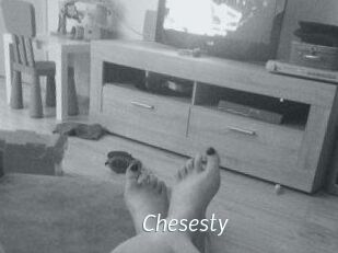 Chesesty