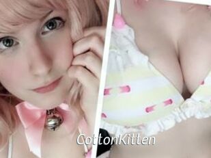 CottonKitten