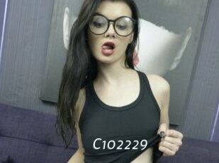 C102229