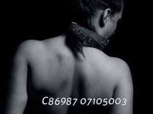 C86987-07105003