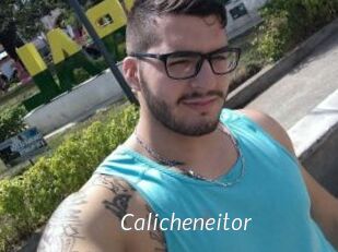 Calicheneitor