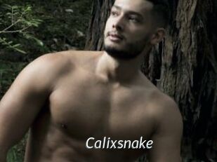 Calixsnake