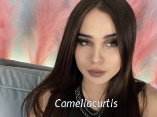 Cameliacurtis