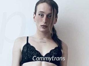 Cammytrans