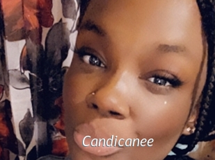 Candicanee