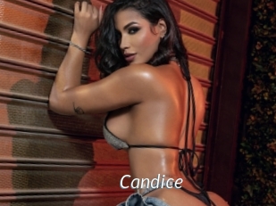 candice Porn Star