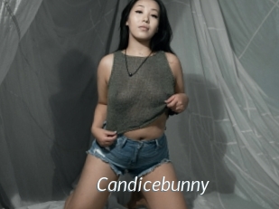 Candicebunny