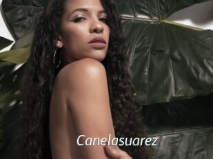 Canelasuarez