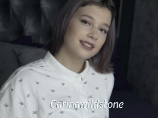 carinawildstone Porn Star