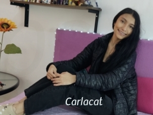 Carlacat