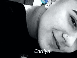 carliya Porn Star