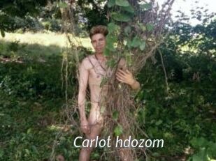 Carlot_hdozom