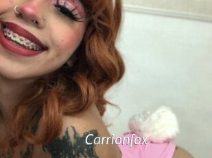 Carrionfox