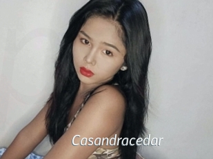 Casandracedar