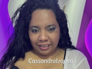 Cassandratropea