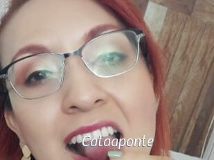 Cataaponte
