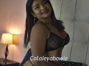 cataleyabowie Porn Star