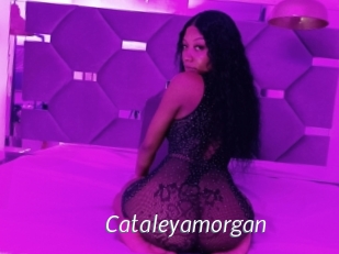 Cataleyamorgan