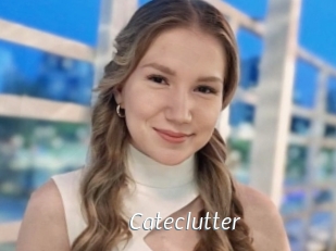 Cateclutter