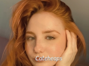 Cateheaps