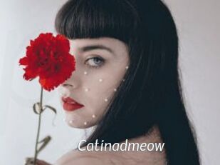 catinadmeow Porn Star