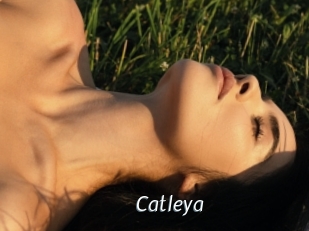 Catleya