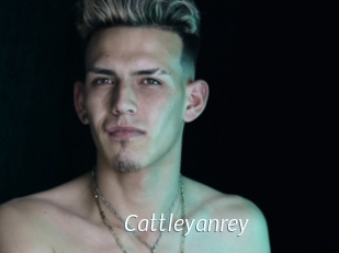 cattleyanrey Porn Star