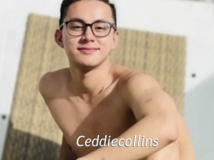 Ceddiecollins
