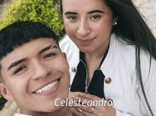 Celesteandroy
