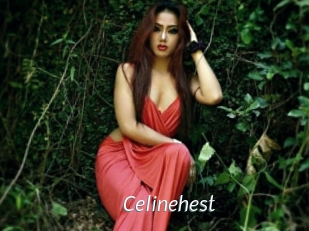 Celinehest