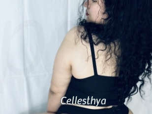 Cellesthya