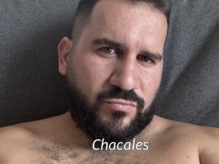 Chacales
