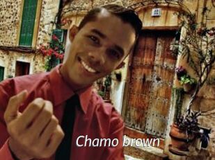 Chamo_brown