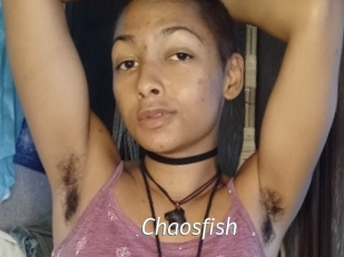 chaosfish Porn Star