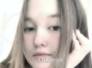 Chloerice
