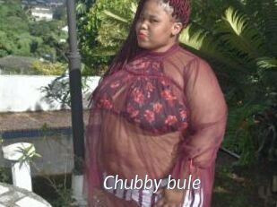 Chubby_bule