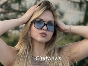 Cindylevis