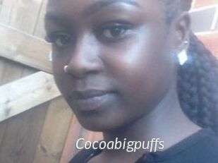 Cocoabigpuffs