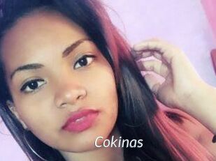 Cokinas