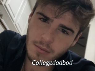 Collegedadbod