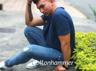 Coltonhammer