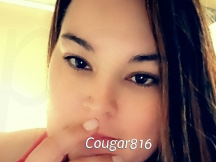 Cougar816