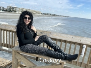 Cougarv