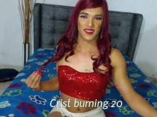 Crist_burning_20
