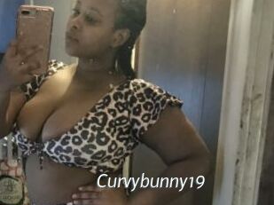 Curvybunny19